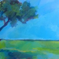 Gallery 2 - Scott Waters