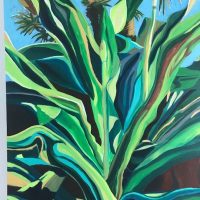 Gallery 5 - Lacey Taylor