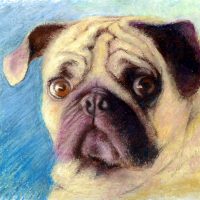 Gallery 4 - Cynthia Pierson