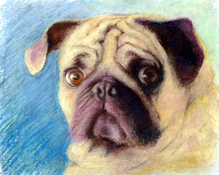 Gallery 4 - Cynthia Pierson
