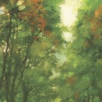 Gallery 4 - Scott Waters