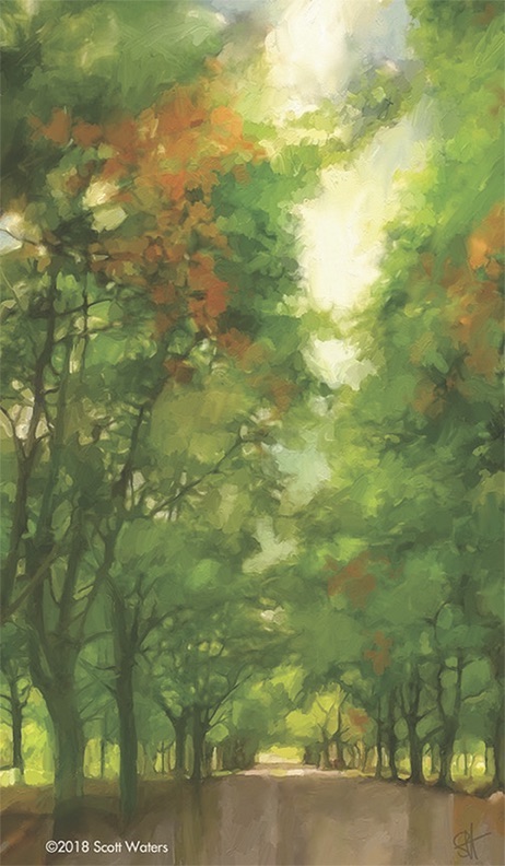 Gallery 4 - Scott Waters