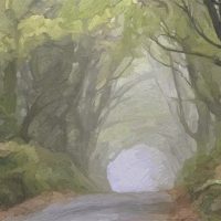Gallery 5 - Scott Waters