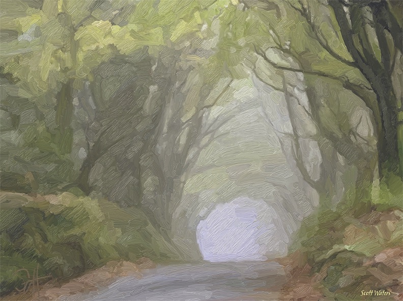 Gallery 5 - Scott Waters