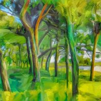 Gallery 6 - Scott Waters
