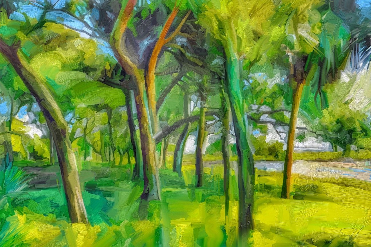 Gallery 6 - Scott Waters