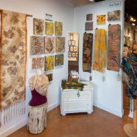 Gallery 2 - Amy Hemphill Dove