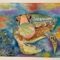Gallery 4 - Dorothy Reid