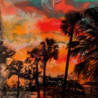 Gallery 2 - Tess Blum