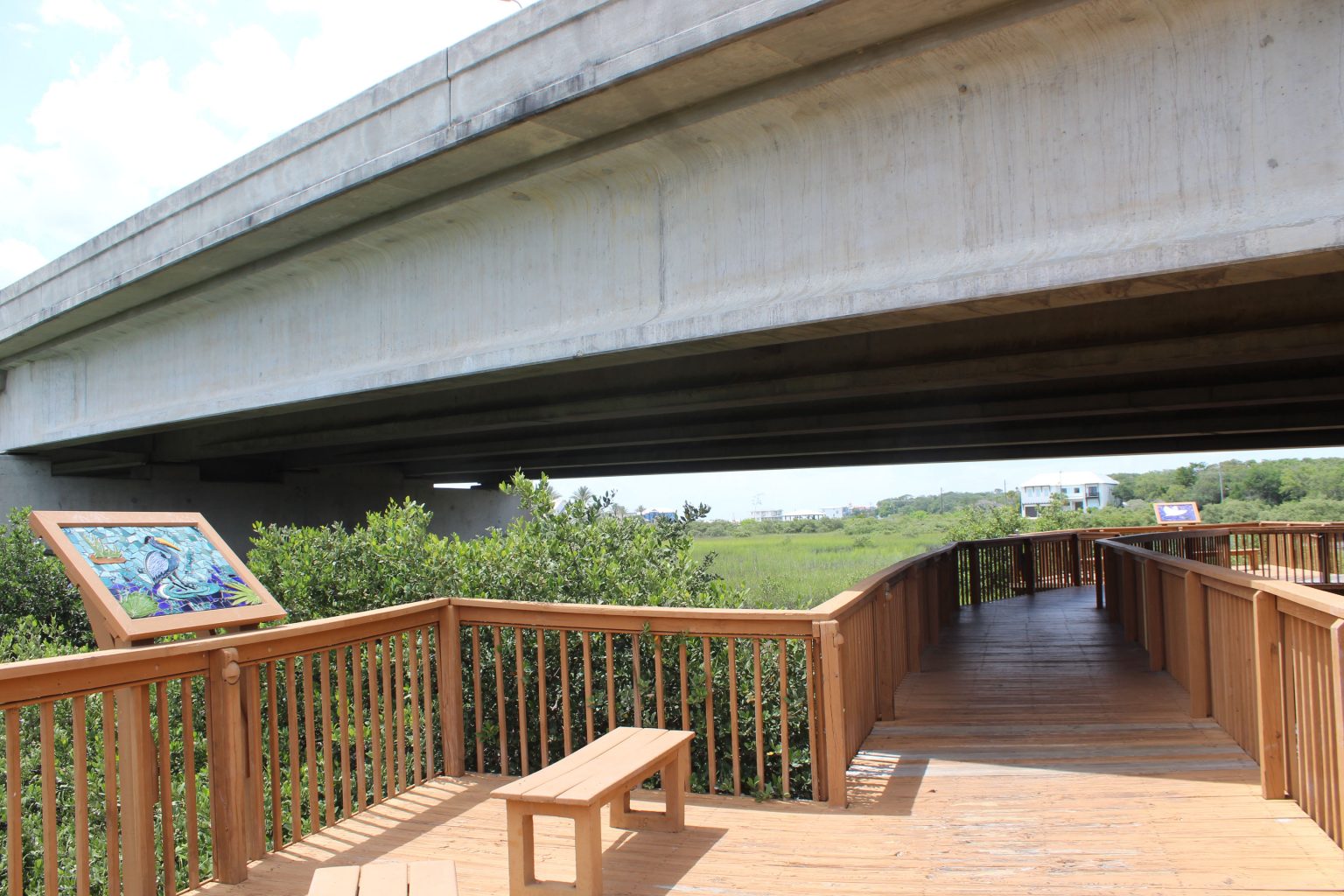 Gallery 1 - Vilano Beach Nature Greenwalk
