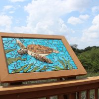 Gallery 3 - Vilano Beach Nature Greenwalk