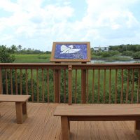 Gallery 2 - Vilano Beach Nature Greenwalk