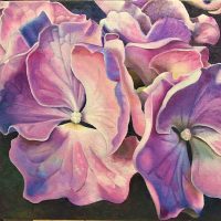 Gallery 2 - Joyce Hutchinson