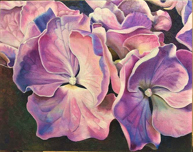 Gallery 2 - Joyce Hutchinson