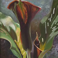 Gallery 3 - Joyce Hutchinson