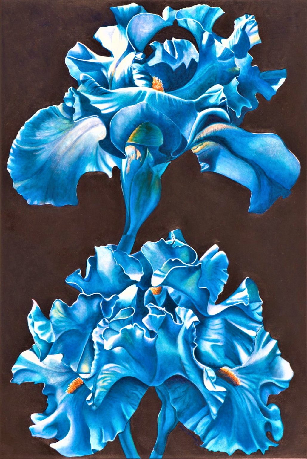 Gallery 10 - Joyce Hutchinson