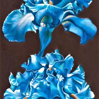 Gallery 10 - Joyce Hutchinson