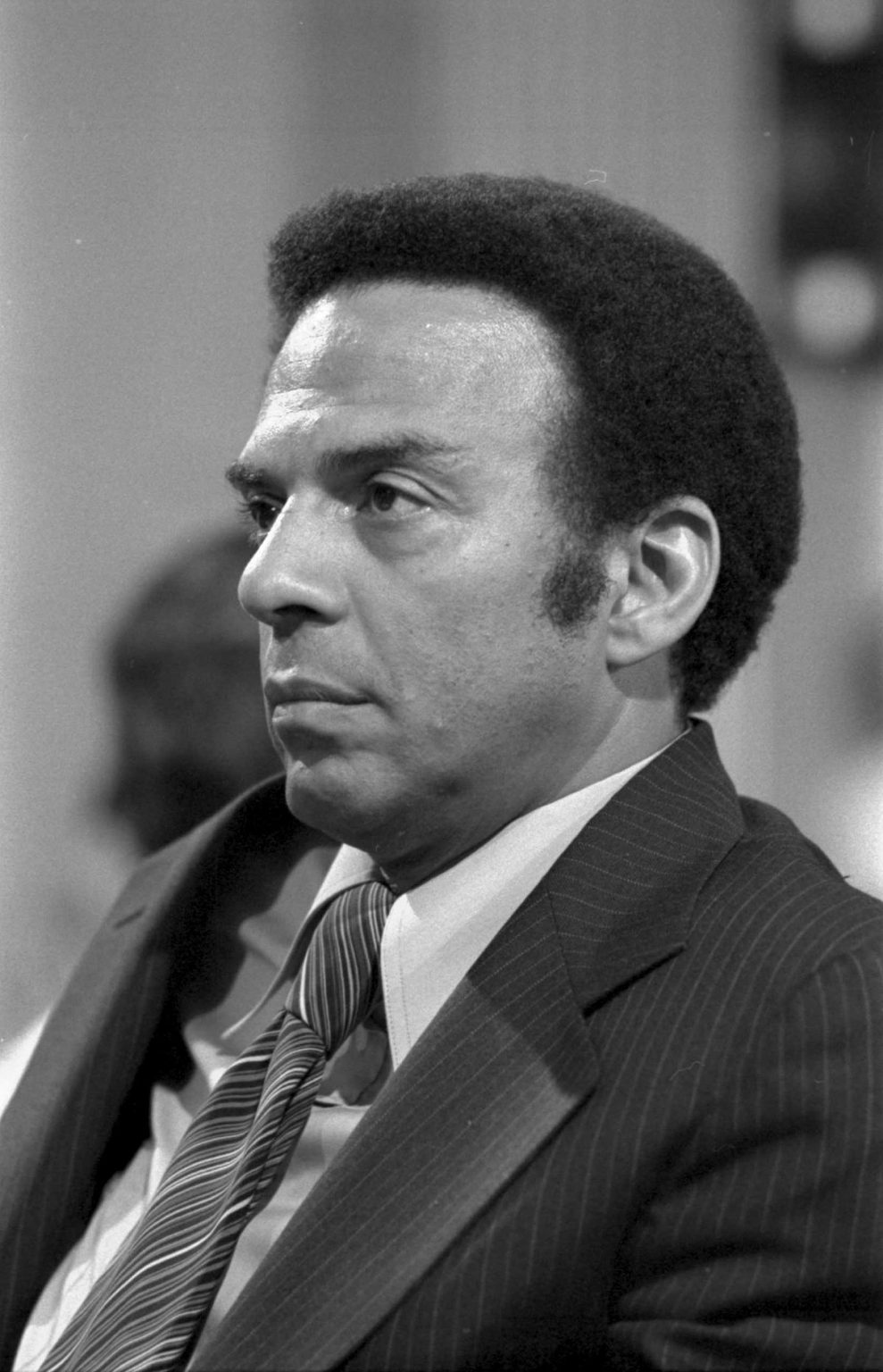 Gallery 1 - Andrew Young Crossing