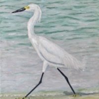 Gallery 4 - John Suchy