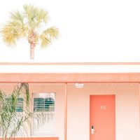 Gallery 2 - The Local St. Augustine