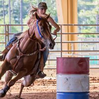 Gallery 2 - St. Johns County Fairgrounds
