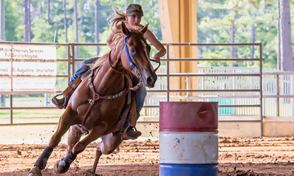 Gallery 2 - St. Johns County Fairgrounds