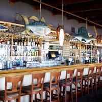 Gallery 2 - The Reef