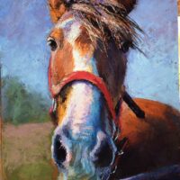 Gallery 2 - Paula Pascucci