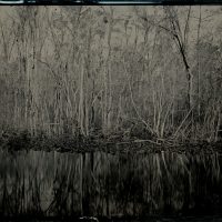 Gallery 8 - Matt Keene