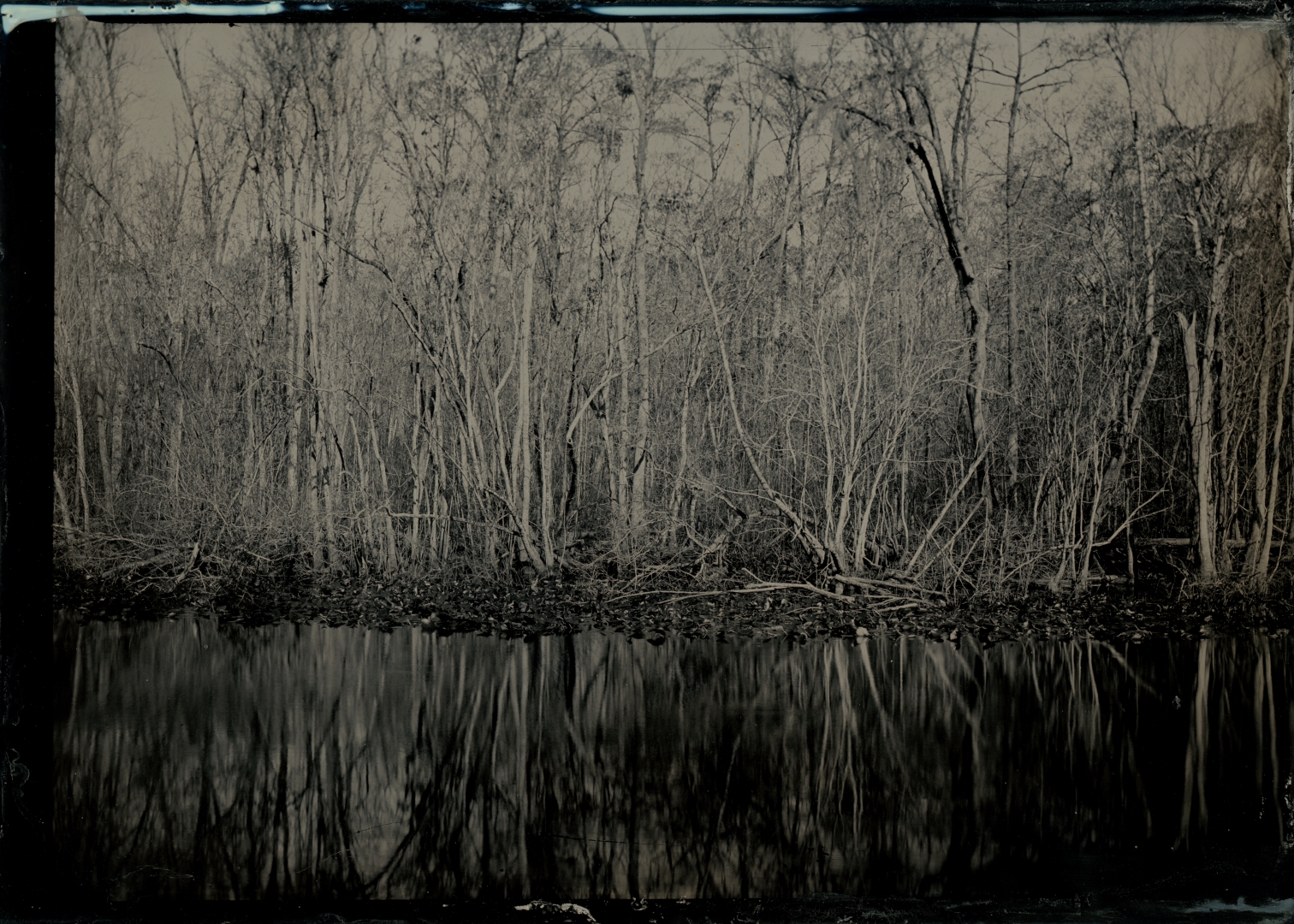 Gallery 8 - Matt Keene
