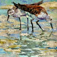 Gallery 9 - Paula Pascucci