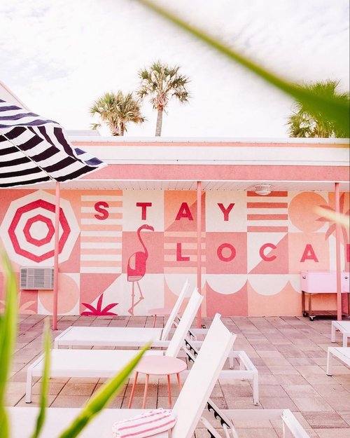 Gallery 3 - The Flamingos and Greetings from St. Augustine at The Local