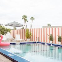 Gallery 2 - The Flamingos and Greetings from St. Augustine at The Local