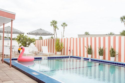 Gallery 2 - The Flamingos and Greetings from St. Augustine at The Local