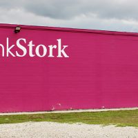 Gallery 1 - Full Mural, Wings at Pink Stork.