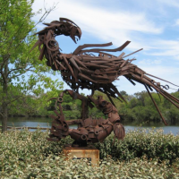 Gallery 1 - Sinornis