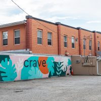 Gallery 3 - Crave