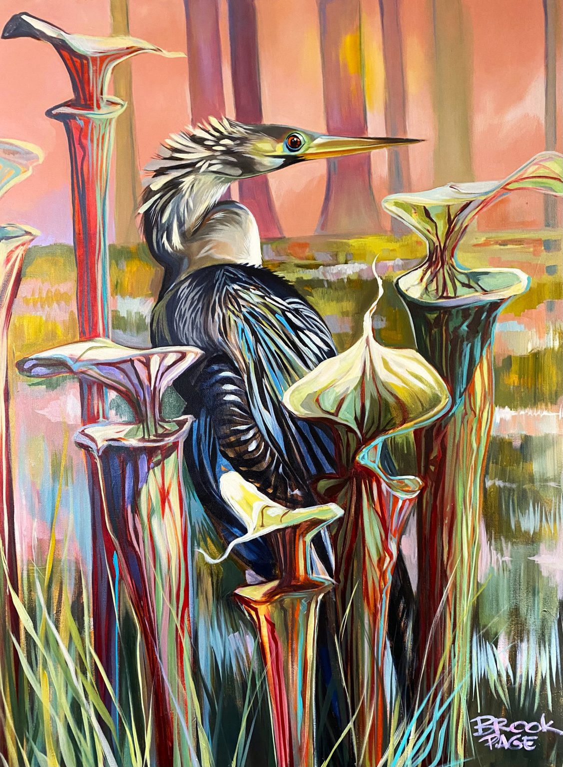Gallery 7 - Brook Page