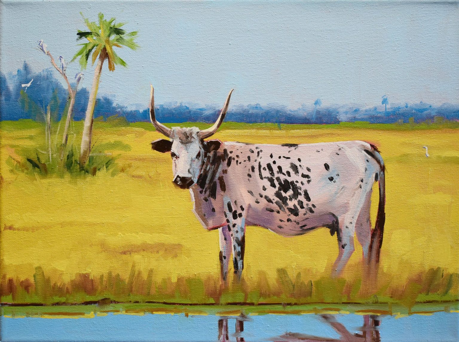 Gallery 2 - 12X16 oils on canvas